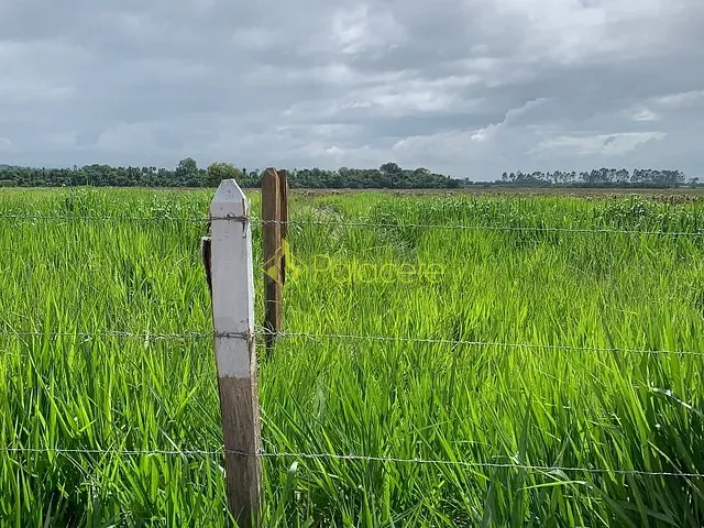 Chácara com 20000m², à venda, no bairro Bom Sucesso em Pindamonhangaba