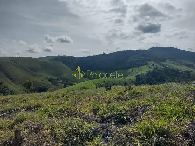 Chácara com 20000m², à venda, no bairro Borba em Pindamonhangaba