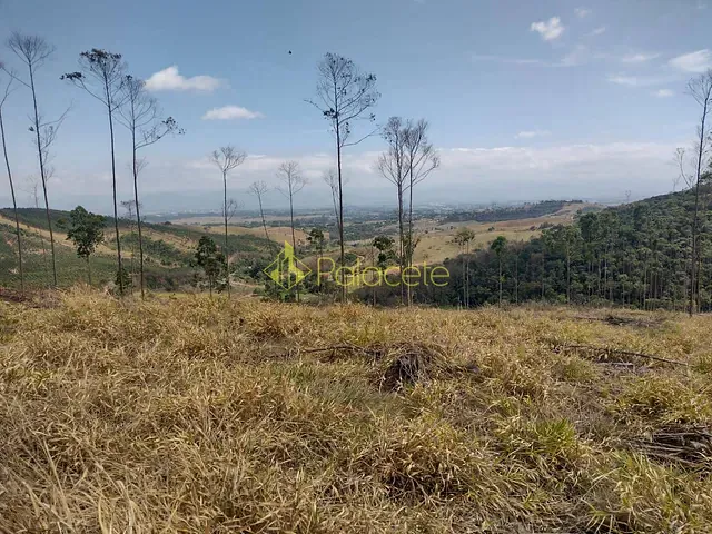 Chácara com 20000m², à venda, no bairro Borba em Pindamonhangaba