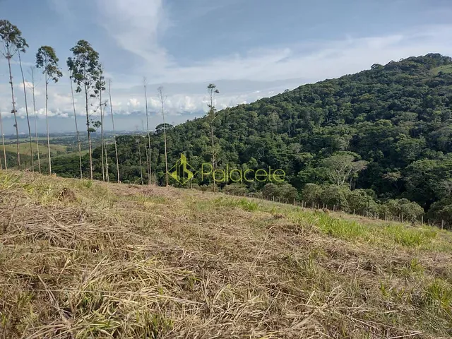 Chácara com 20000m², à venda, no bairro Borba em Pindamonhangaba