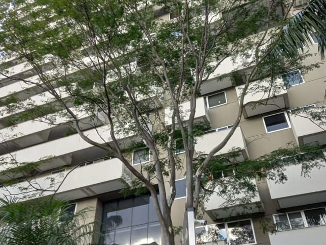 Foto do Conjunto comercial - Conjunto comercial Novo Próximo ao Metrô Paraíso | Paulista Imóveis.