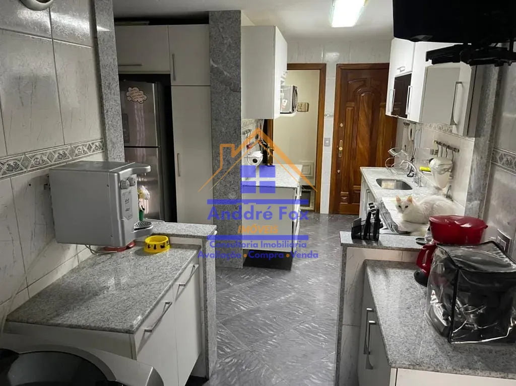 Cobertura, 4 quartos, 352 m² - Foto 11
