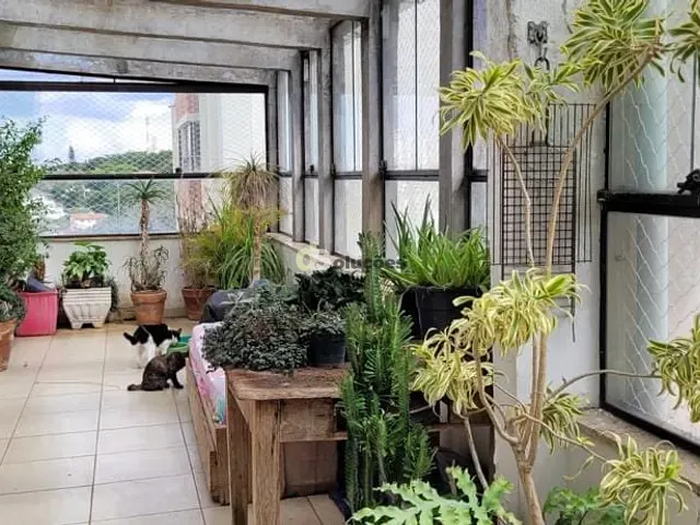 Cobertura / Penthouse com 144m² 3 quartos e 3 banheiros, à venda, no bairro Barro Branco (Zona Norte) em São Paulo