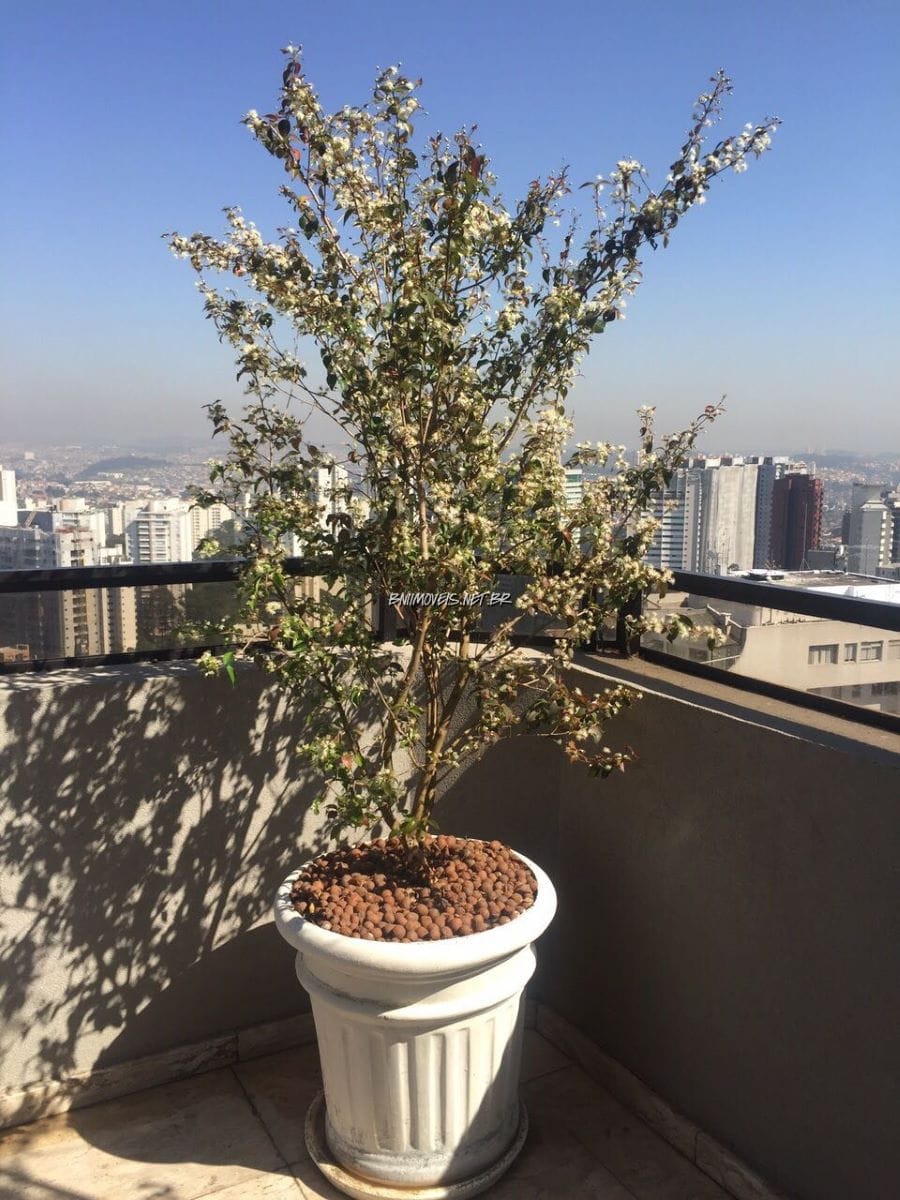 Cobertura, 4 quartos, 700 m² - Foto 30
