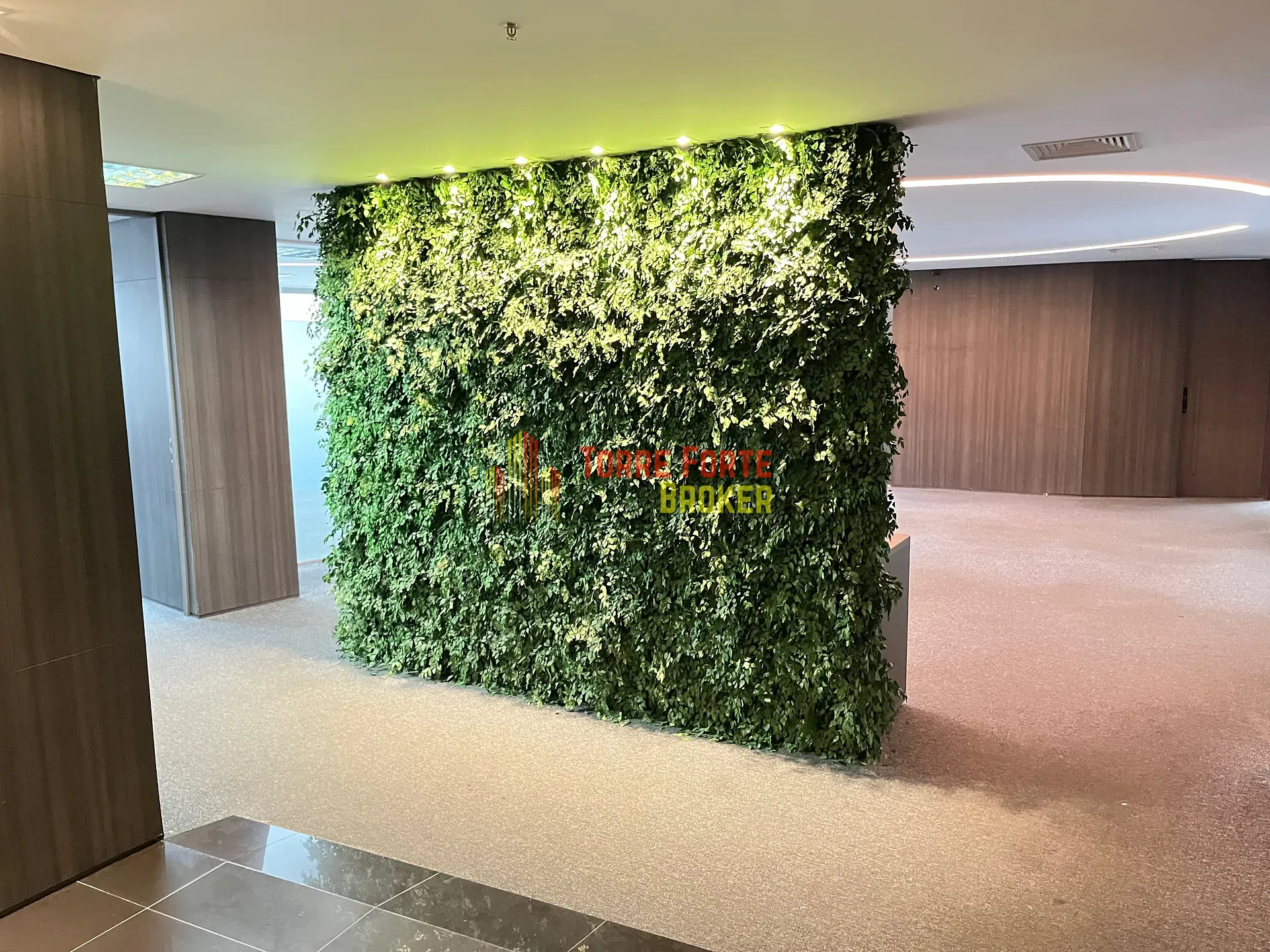 Sala-Conjunto, 504 m² - Foto 13
