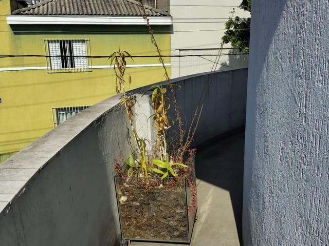 Conjunto comercial para alugar, no bairro Fundação em São Caetano do Sul