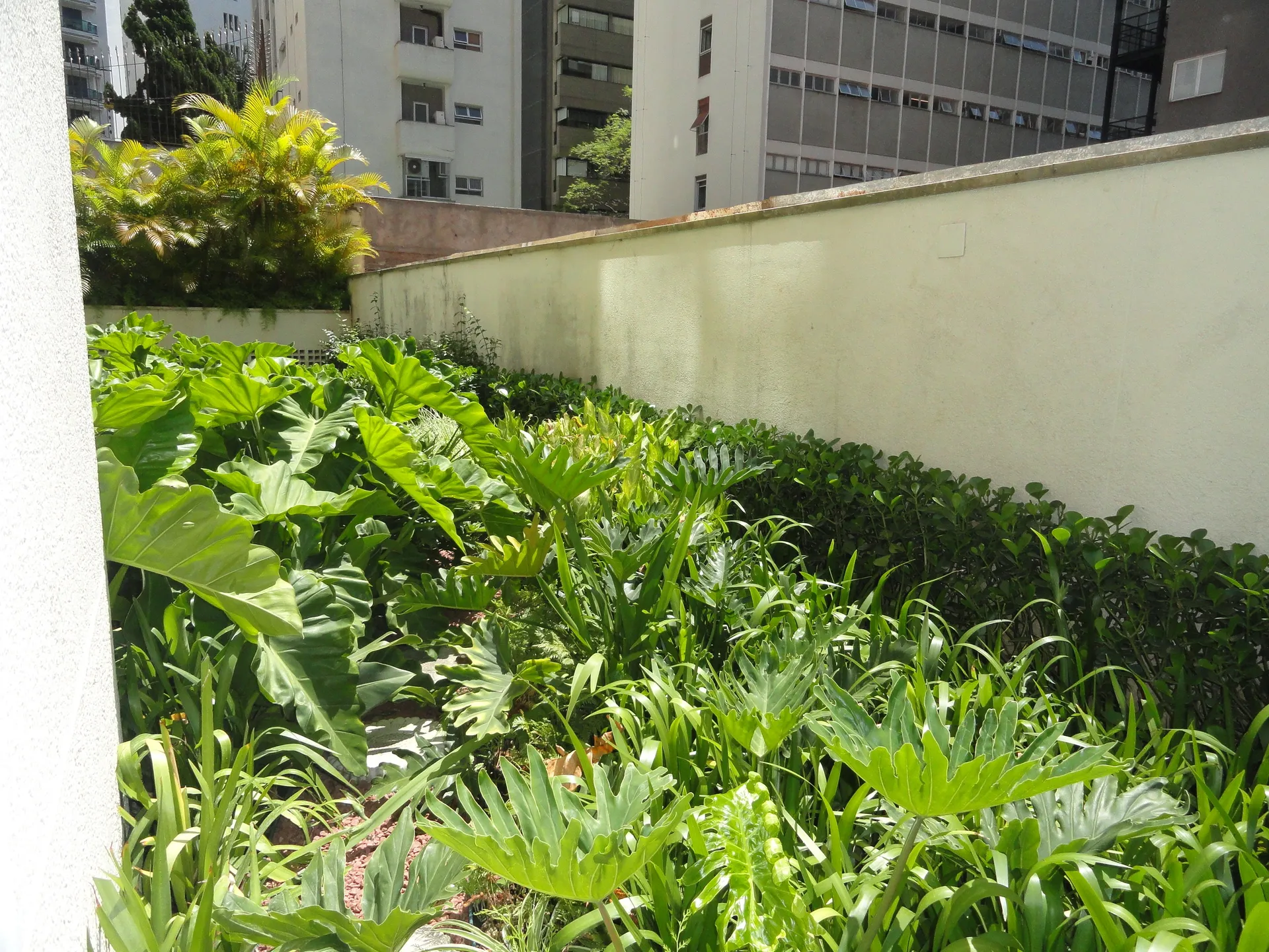 Comercial para alugar com 2 banheiros, 1 vaga e 37m² no Consolação, São Paulo (SP) — foto 17 de 20