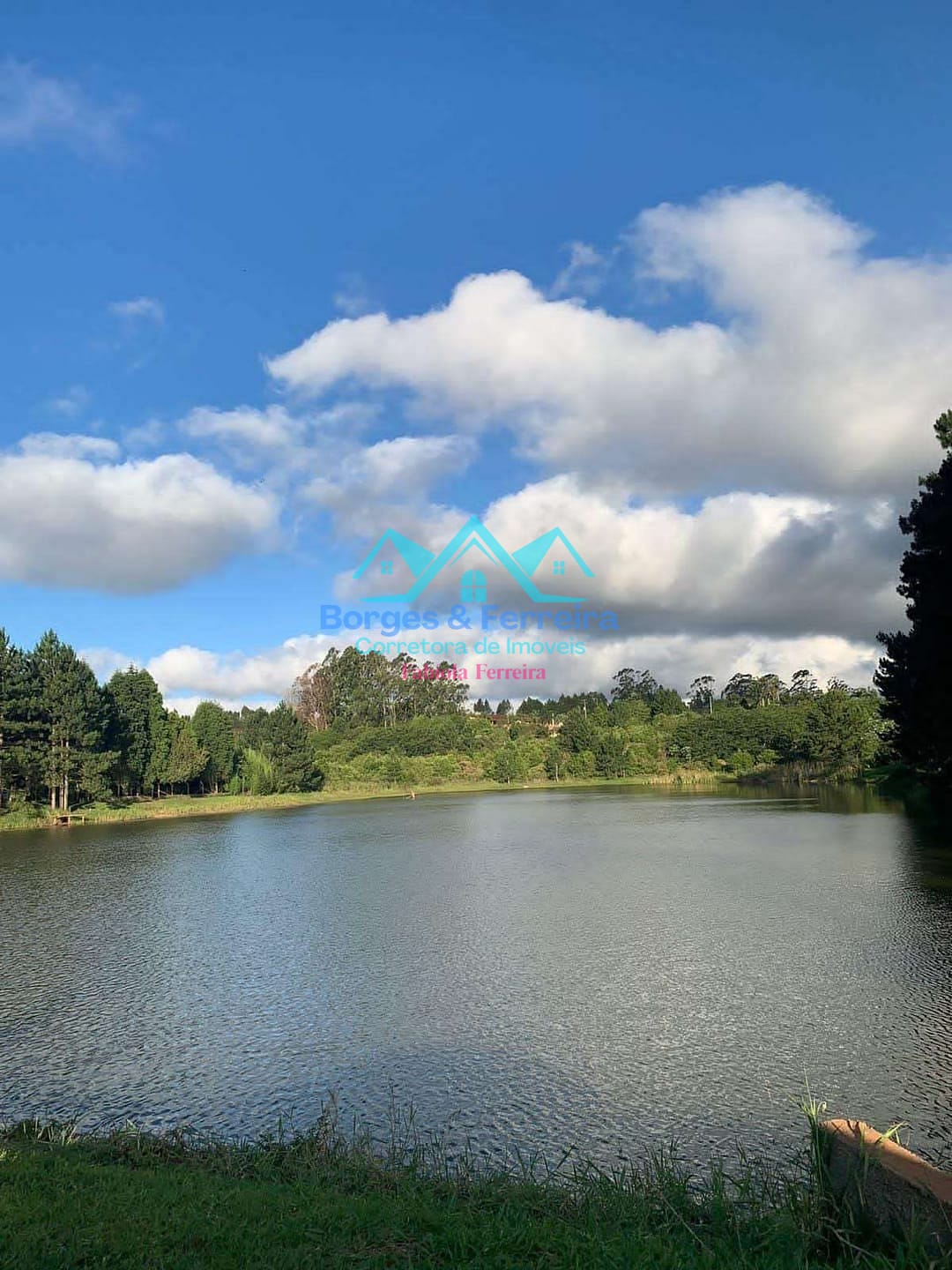 Chácara, 3 quartos, 3037 m² - Foto 48