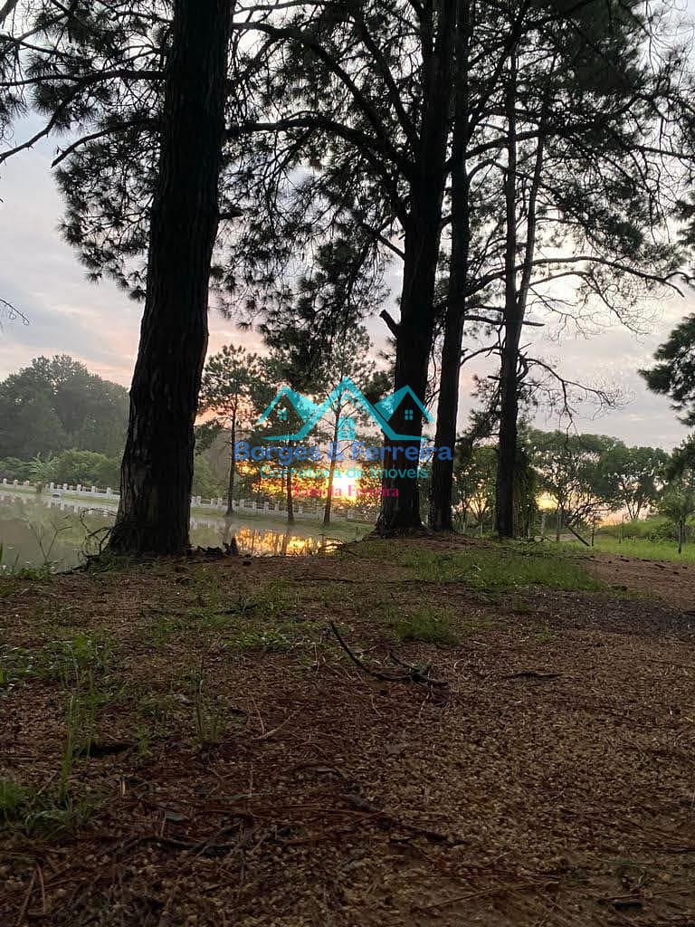 Terreno, 1500 m² - Foto 16