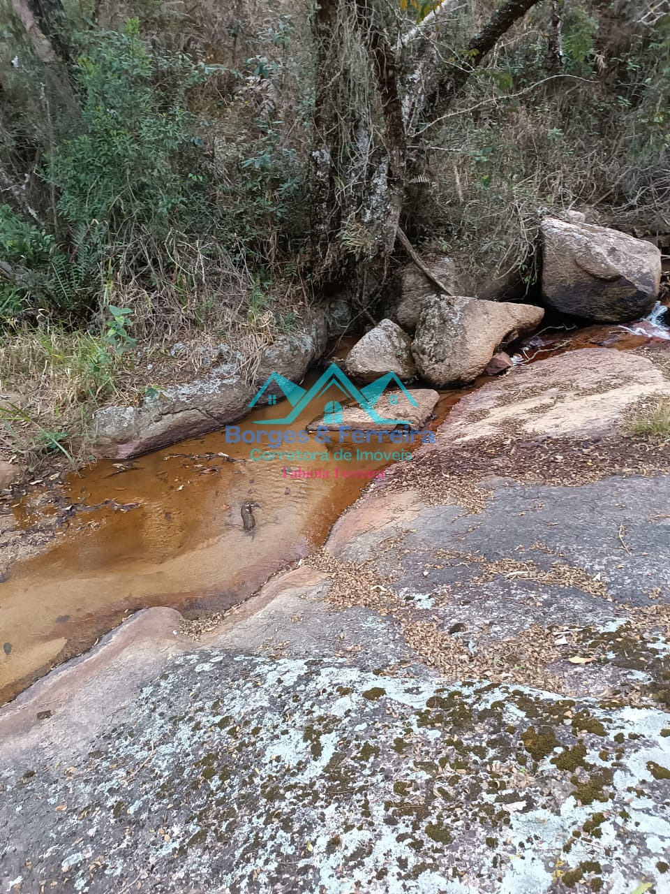 Chácara, 2 quartos, 3000 m² - Foto 33