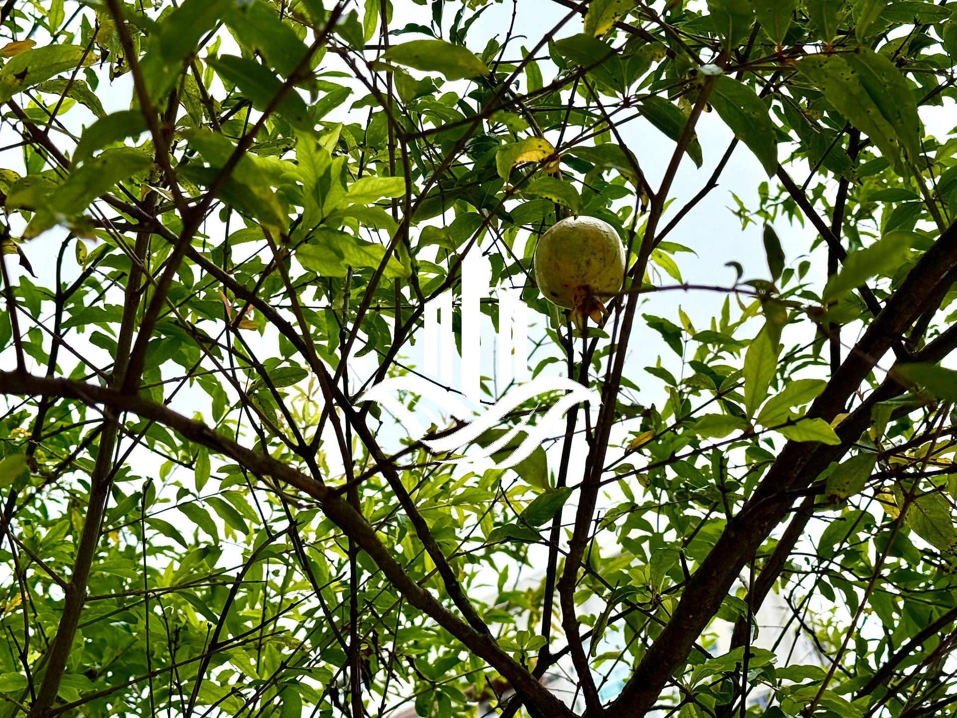 Apartamento, 4 quartos, 205 m² - Foto 49