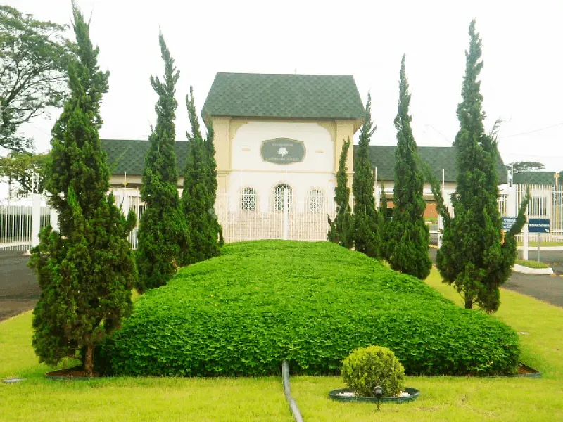 Terreno, 360 m² - Foto 4