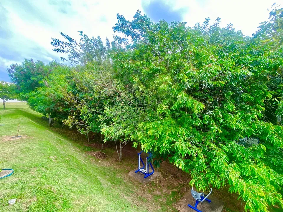 Terreno, 169 m² - Foto 12