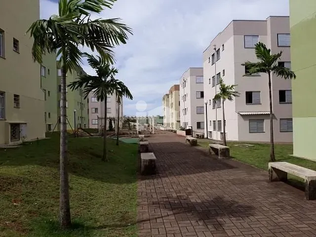 Apartamento 2 quartos e 1 banheiro, para alugar, no bairro Jardim Novo Horizonte em Rolândia