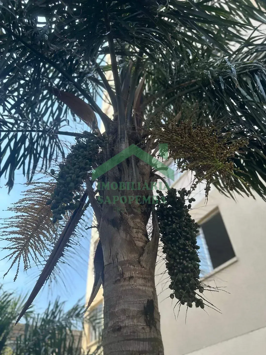 Apartamento, 2 quartos, 32 m² - Foto 36