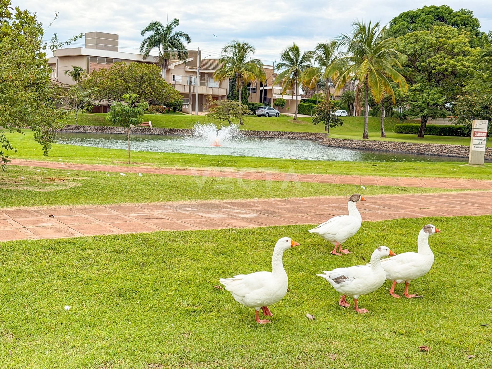 Casa, 3 quartos, 300 m² - Foto 44