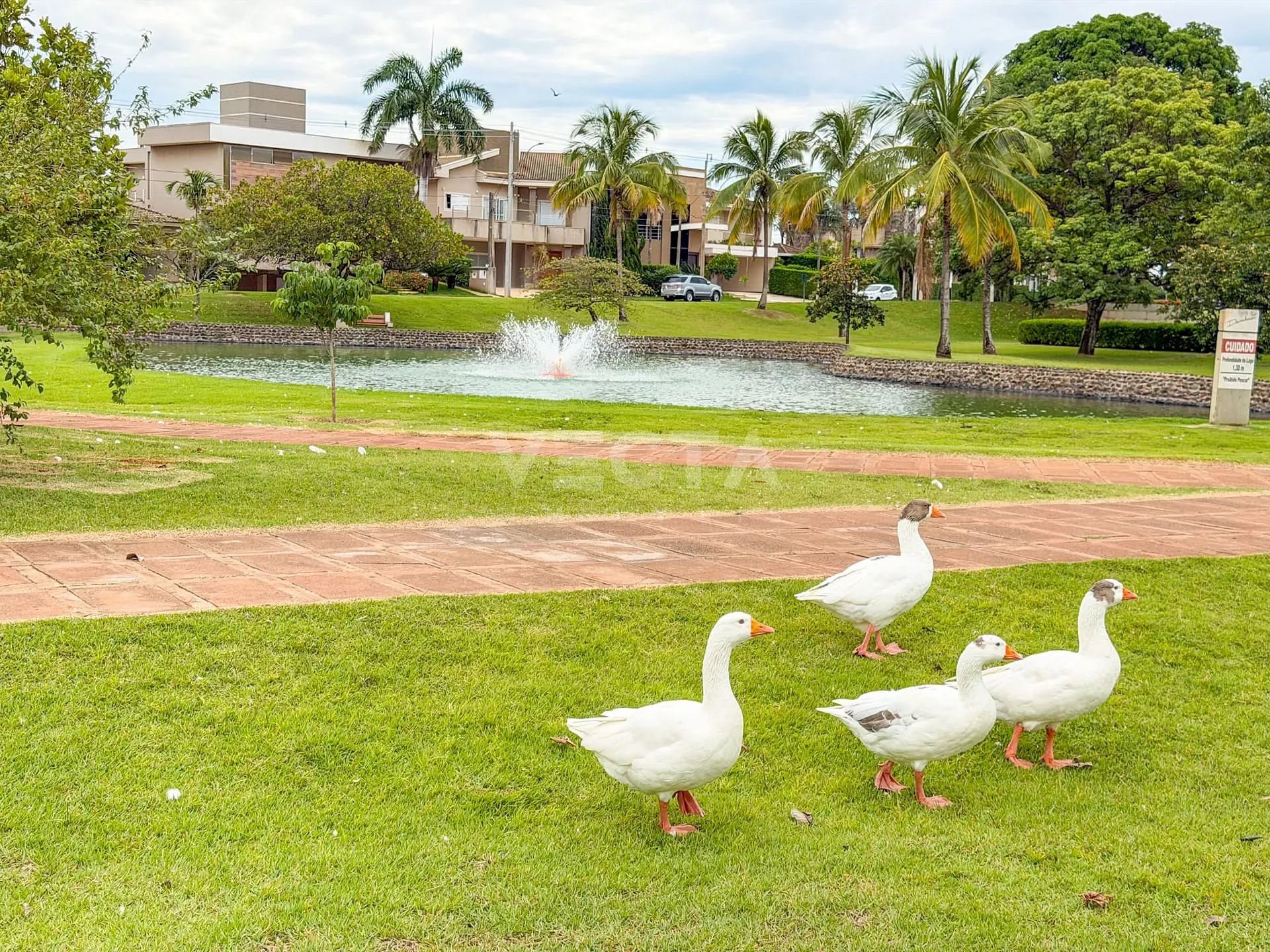 Casa, 3 quartos, 300 m² - Foto 44