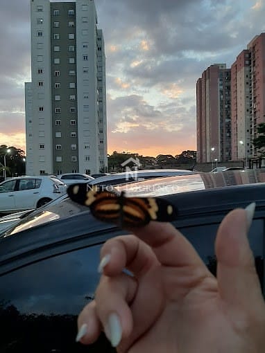 Apartamento à venda com 2 quartos, 30m² - Foto 11