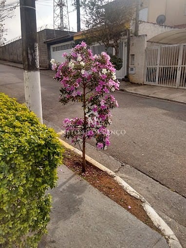 Casa, 2 quartos, 118 m² - Foto 24