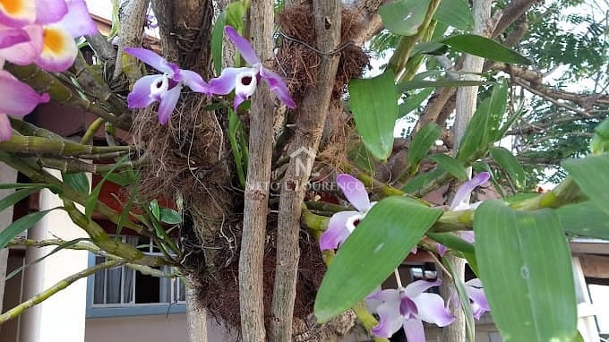 Casa, 2 quartos, 118 m² - Foto 25