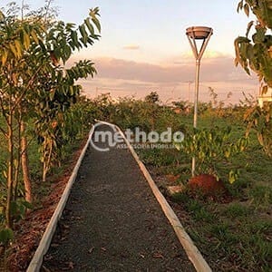 Casa, 3 quartos, 138 m² - Foto 15