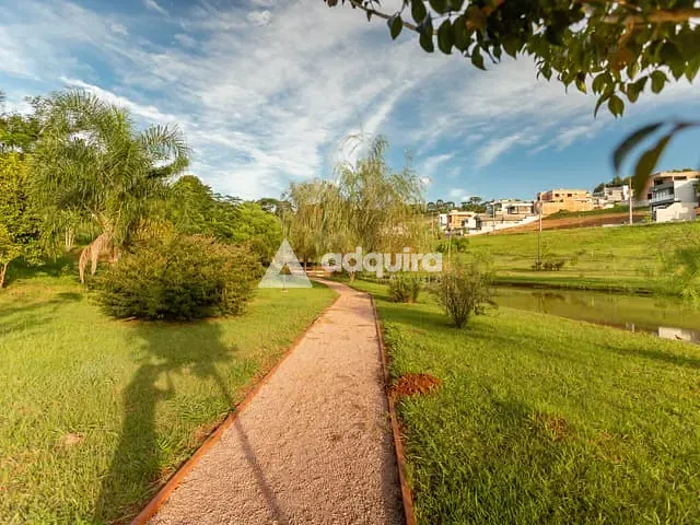 Terreno com 331m², à venda, no bairro Colônia Dona Luíza em Ponta Grossa