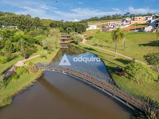Terreno com 310m², à venda, no bairro Colônia Dona Luíza em Ponta Grossa
