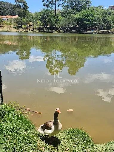 Casa, 4 quartos, 280 m² - Foto 39