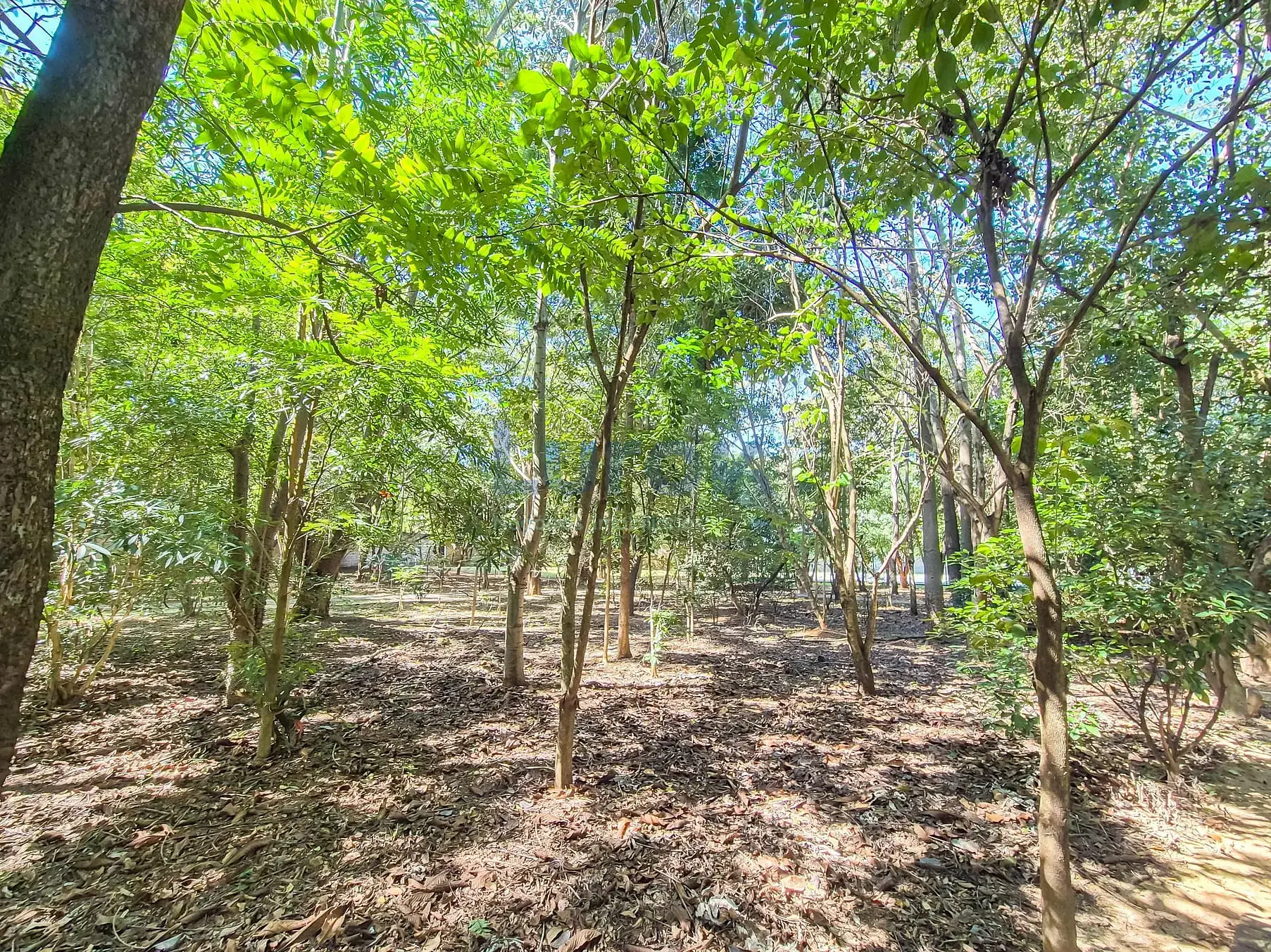 Casa, 2 quartos, 203 m² - Foto 33