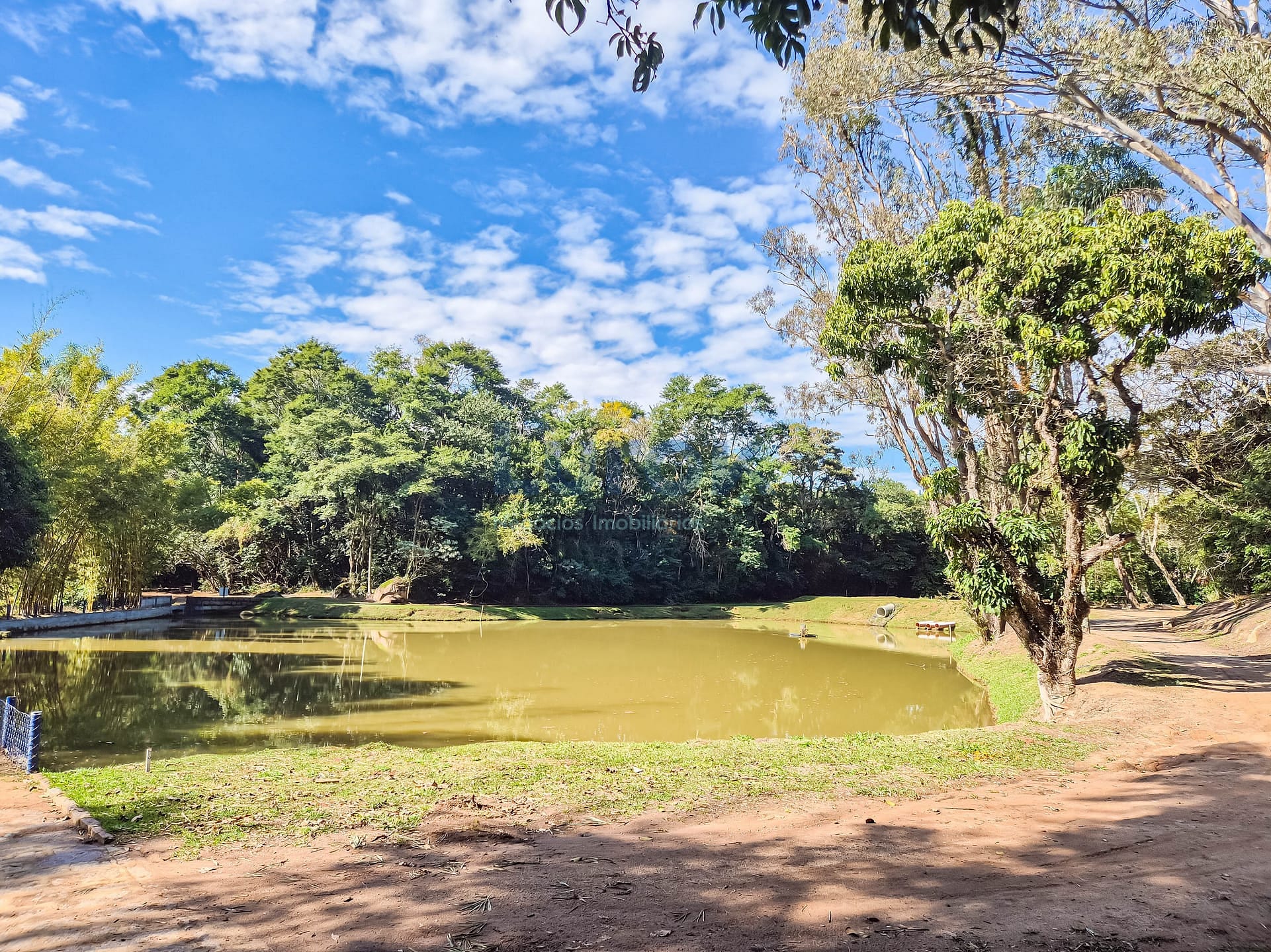 Casa, 4 quartos, 230 m² - Foto 49