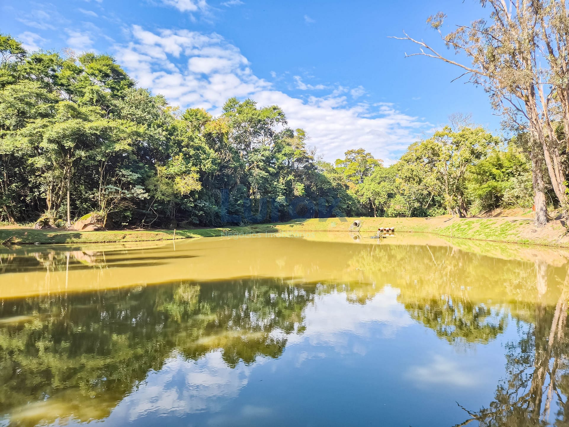 Casa, 4 quartos, 230 m² - Foto 50