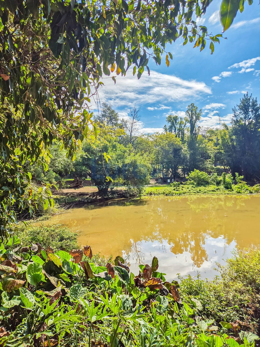 Casa, 4 quartos, 230 m² - Foto 52