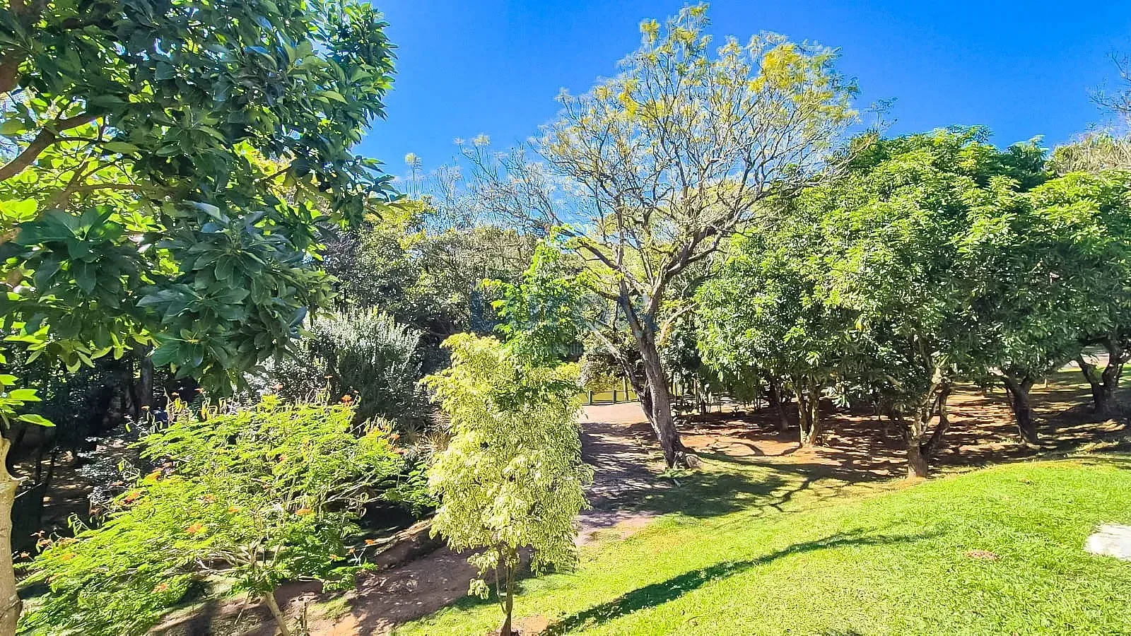 Casa, 3 quartos, 402 m² - Foto 41
