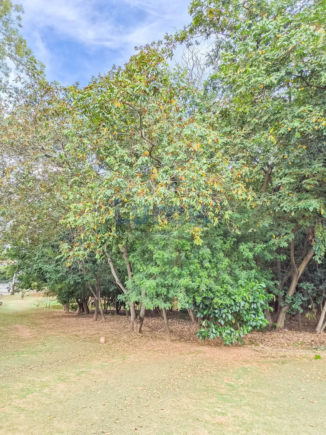 Casa, 3 quartos, 253 m² - Foto 44