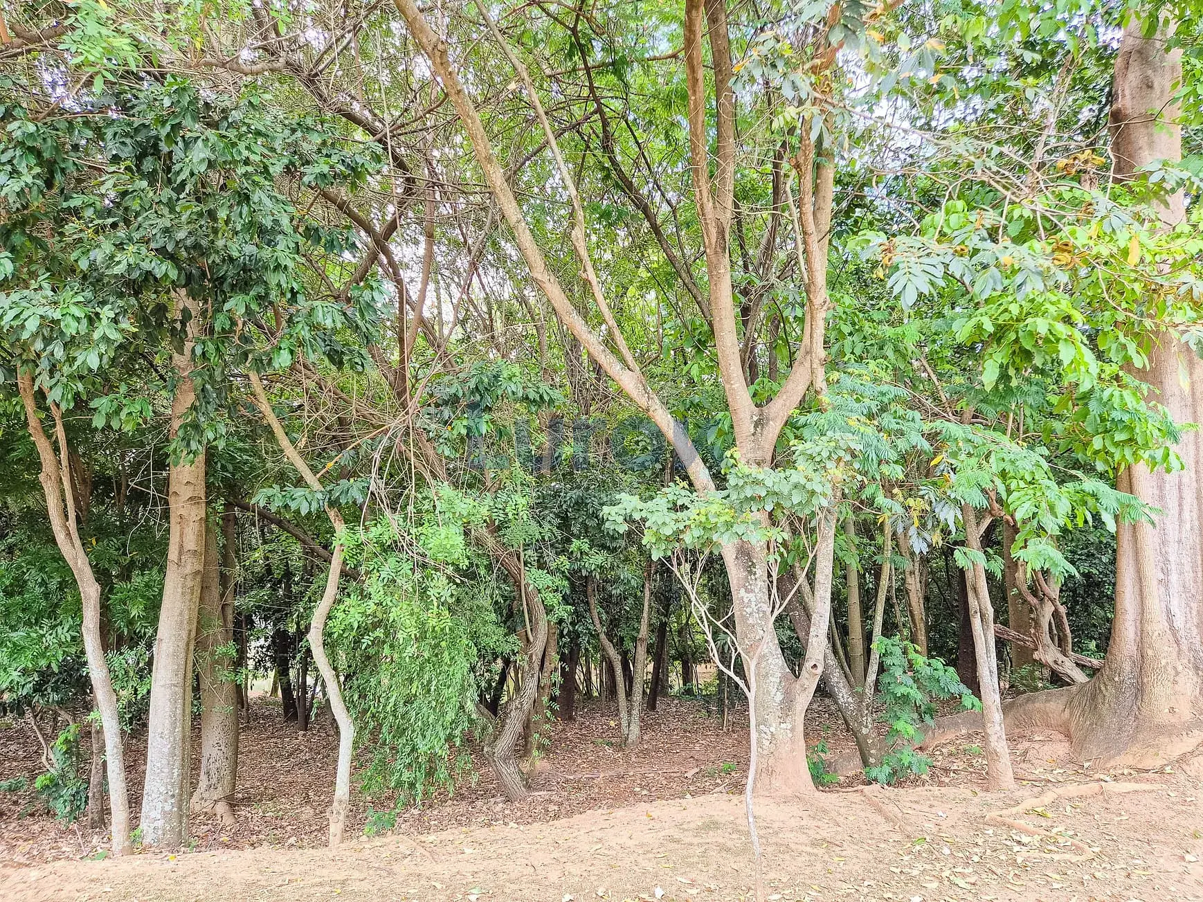 Casa, 3 quartos, 253 m² - Foto 45