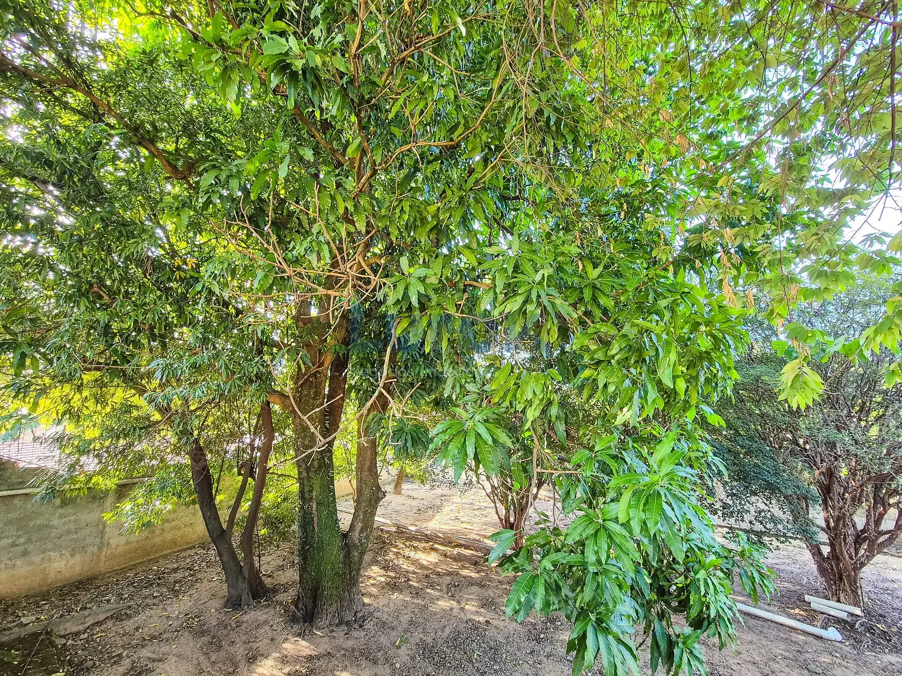Casa, 3 quartos, 240 m² - Foto 39
