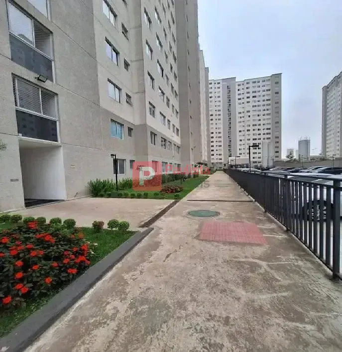 Foto 12