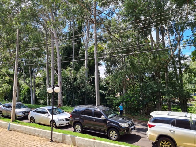 Foto do Sala - Comercial à venda 256M², Hedy, Londrina - PR | Rua Wenceslau Braz N° 400 | Imobiliária Itapuã S/C LTDA