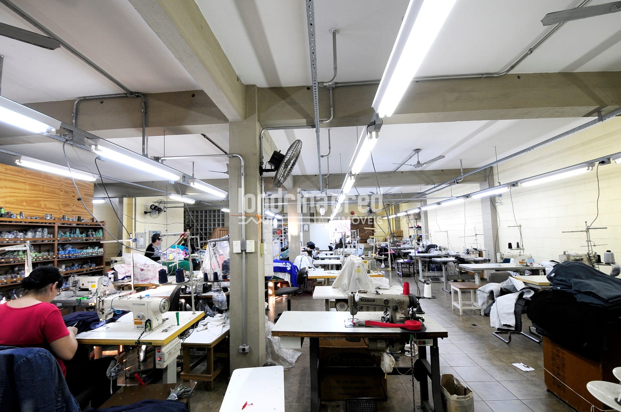 Loja-Salão, 1080 m² - Foto 4