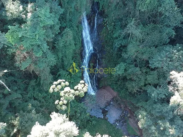 Comercial com 35400m² 5 quartos e 10 banheiros, à venda, no bairro Bairro do Macuco em Taubaté