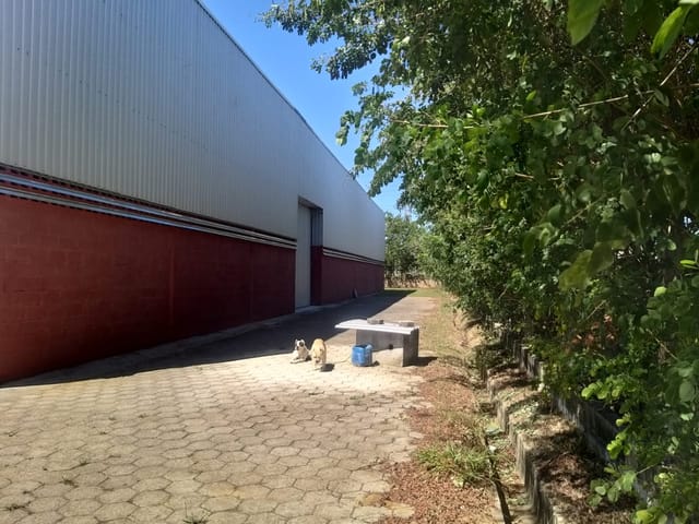 Galpão / Barracão com 7500m², à venda, no bairro Moreira César em Pindamonhangaba