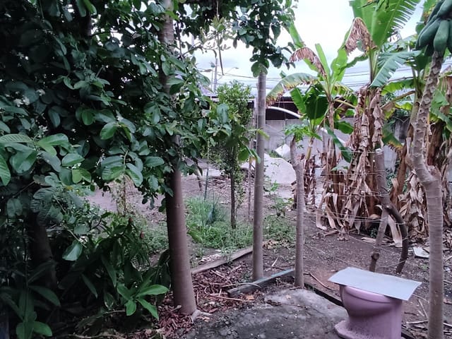 Galpão / Barracão com 575m², à venda, no bairro Residencial Maricá em Pindamonhangaba