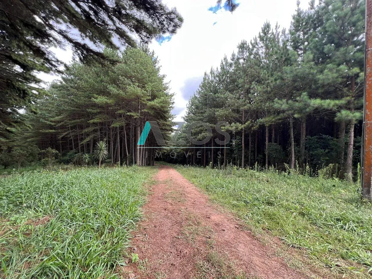 Fazenda, 10 m² - Foto 49