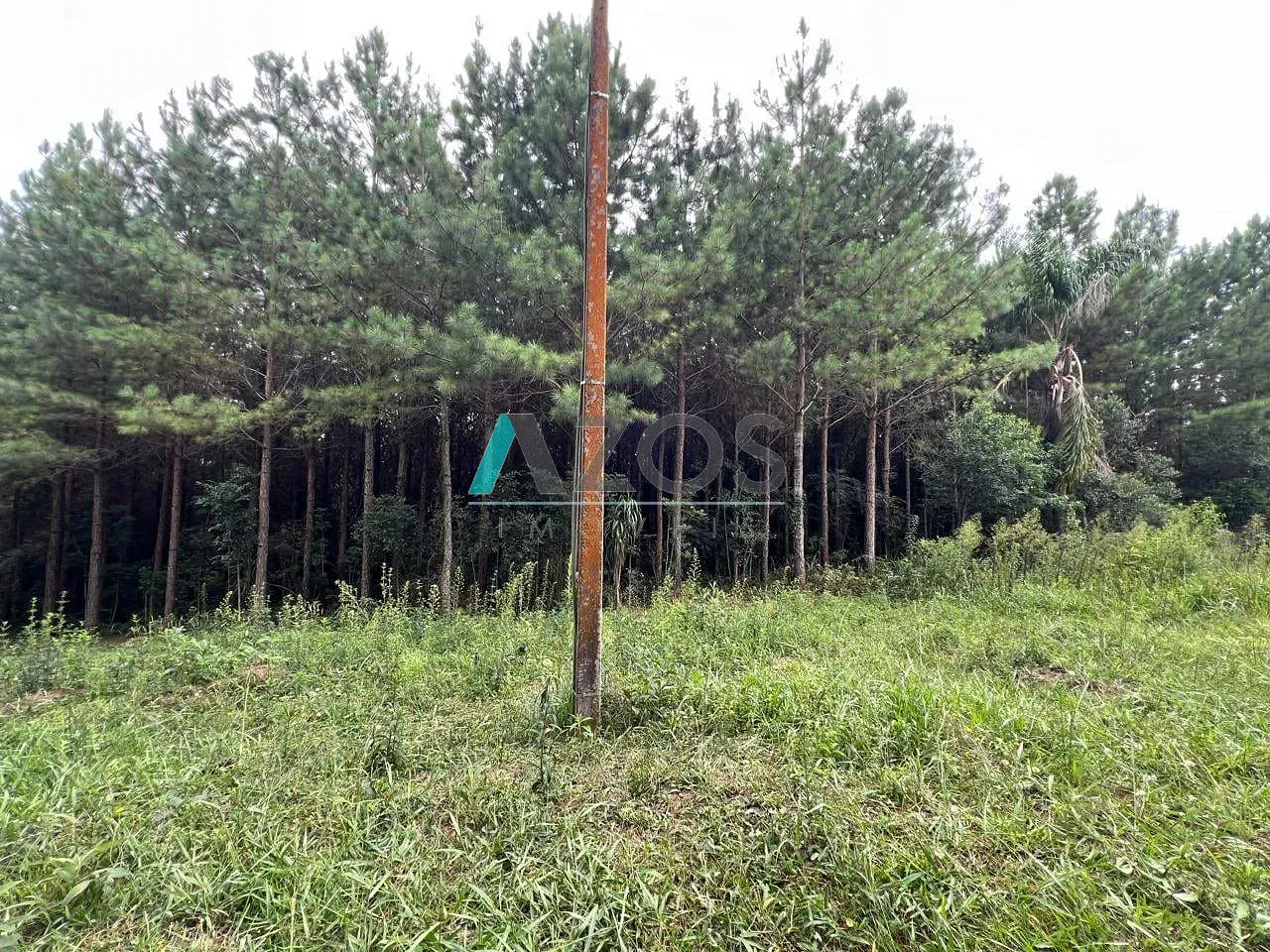 Fazenda, 10 m² - Foto 53