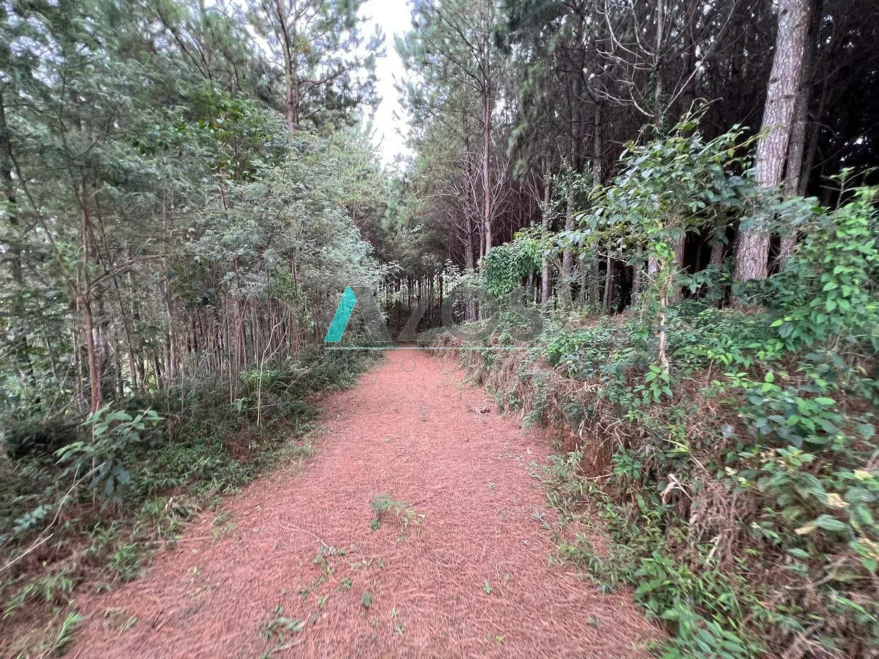 Fazenda, 10 m² - Foto 57