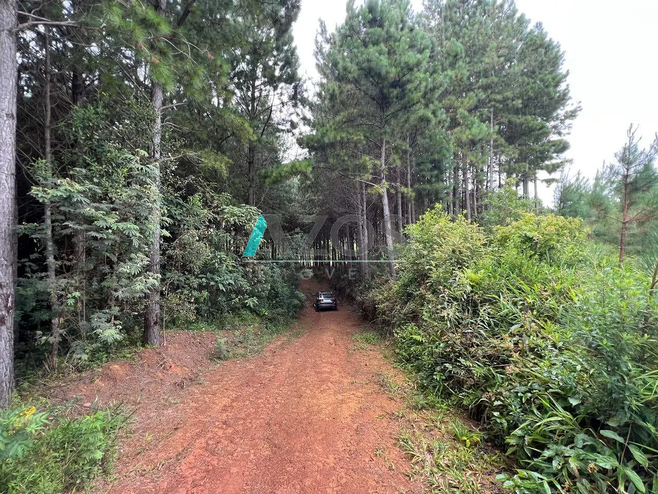 Fazenda, 10 m² - Foto 56