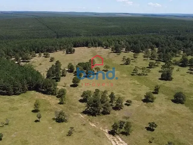 Fazenda com 2323200m², à venda, no bairro Capela Velha em Guareí