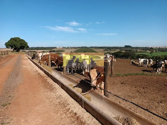 Fazenda com 968000m² 3 quartos e 4 banheiros, à venda, no bairro Santana em Avaré