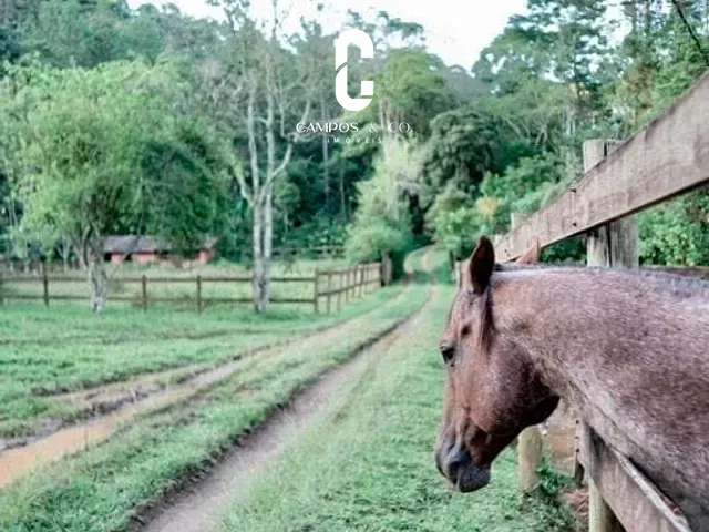 Fazenda com 455000m² 5 quartos e 4 banheiros, à venda, no bairro Rio Preto em Sapucaí-mirim