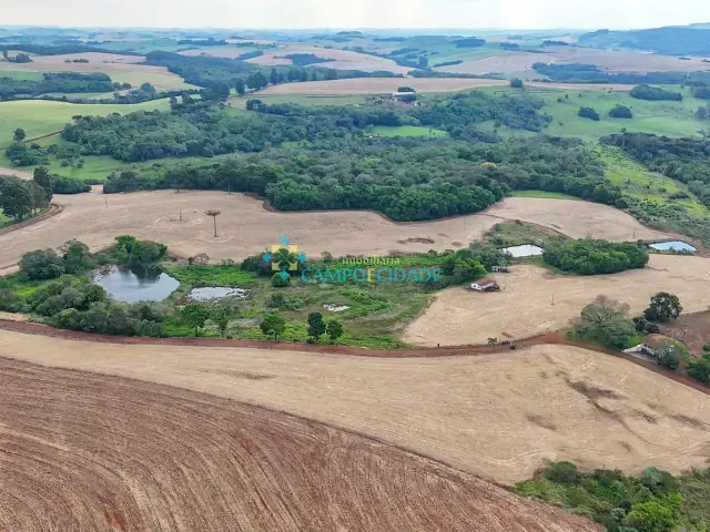 Fazenda com 847000m², à venda, no bairro INTERIOR em Chopinzinho